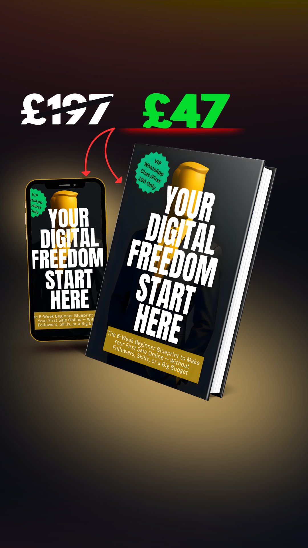 The 6 Figure System (For beginners)